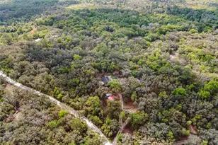 3545 Tiger Creek Trail, Lake Wales, FL 33898 - Photo 42