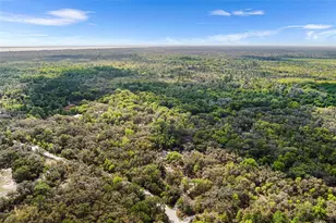 3545 Tiger Creek Trail, Lake Wales, FL 33898 - Photo 46