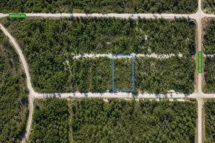 612 Scaup Ave, Sebring, FL 33872 - Photo 1