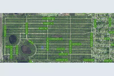 612 Scaup Avenue, Sebring, FL 33872 - Photo 1