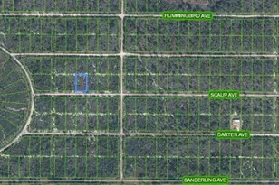 612 Scaup Ave, Sebring, FL 33872 - Photo 4