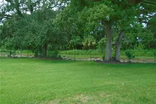 652 Cottage Ln, Lakeland, FL 33803 - Photo 6