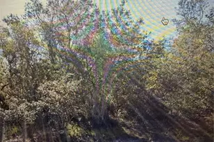 1348 Tallahassee Ct, Kissimmee, FL 34759 - Photo 1