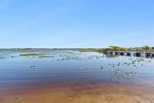 6643 Westchester Dr NE, Winter Haven, FL 33881 - Photo 46