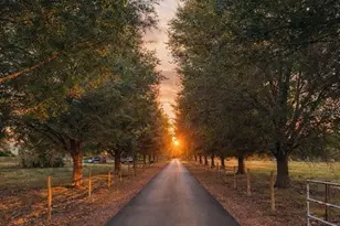 9680 Payne Rd, Sebring, FL 33875 - Photo 28