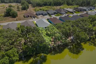 4545 Fairway Oaks Dr, Mulberry, FL 33860 - Photo 44