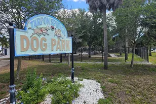 232 Cypress St, Tarpon Springs, FL 34689 - Photo 44