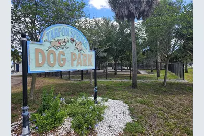 232 Cypress Street, Tarpon Springs, FL 34689 - Photo 46