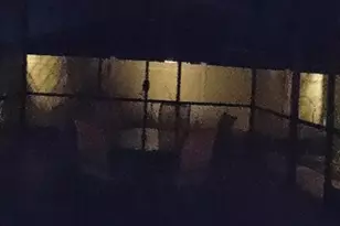 1952 Wind Meadows Dr, Bartow, FL 33830 - Photo 64