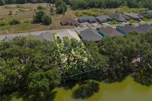 4541 Fairway Oaks Dr, Mulberry, FL 33860 - Photo 46