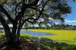 1310 Rolling Woods Ln, Lakeland, FL 33813 - Photo 68