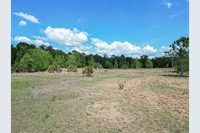 Coronet Road, Mulberry, FL 33860 - Photo 6