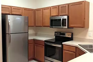 4239 Winding Vine Dr, Lakeland, FL 33812 - Photo 6