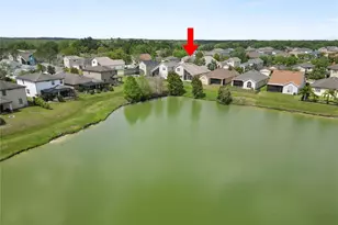 30816 Pumpkin Ridge Dr, Wesley Chapel, FL 33543 - Photo 36