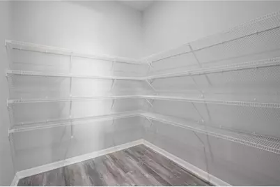 6069 Dropwort Drive, Wimauma, FL 33598 - Photo 16