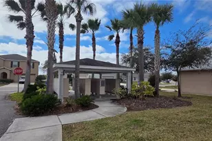10033 Crested Fringe Dr, Riverview, FL 33578 - Photo 36