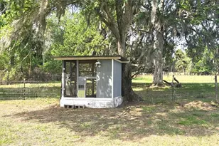 3621 Smith Ryals Rd, Plant City, FL 33567 - Photo 44