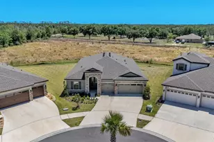 13112 Wellspring Dr, Lithia, FL 33547 - Photo 54
