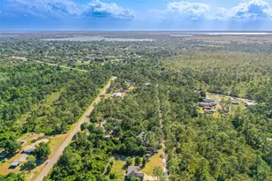 1019 Dearing St, Lake Placid, FL 33852 - Photo 28