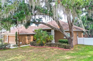 2539 Centennial Falcon Dr, Valrico, FL 33596 - Photo 30