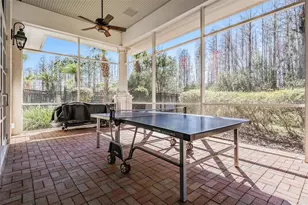 8721 Crystal Creek Ct, Land O Lakes, FL 34638 - Photo 70