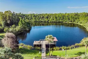 8721 Crystal Creek Ct, Land O Lakes, FL 34638 - Photo 54