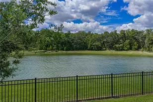 1444 Cypress View Ln, Lakeland, FL 33811 - Photo 30