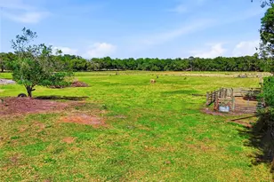 39000 Sparkman Rd, Dade City, FL 33525 - Photo 42