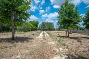 1920 E Palm St, Davenport, FL 33837 - Photo 46