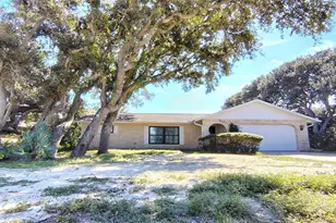 4790 Michael Ln, Ponce Inlet, FL 32127 - Photo 1