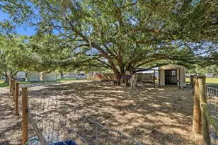 10049 Quinn Rd, Polk City, FL 33868 - Photo 48