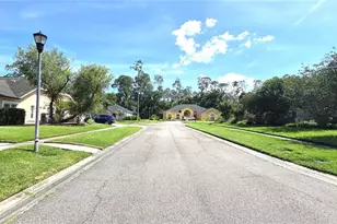 3904 Hidden Spring Pl, Valrico, FL 33596 - Photo 52