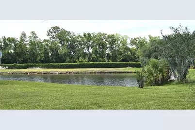3904 Hidden Spring Place, Valrico, FL 33596 - Photo 50