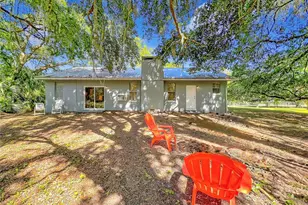 1338 St Nicholas Ave, Christmas, FL 32709 - Photo 38