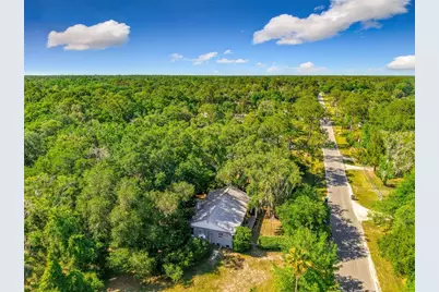 1338 Saint Nicholas Avenue, Christmas, FL 32709 - Photo 4