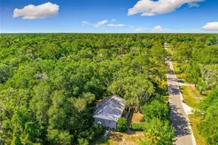 1338 St Nicholas Ave, Christmas, FL 32709 - Photo 4