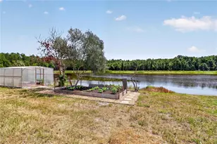 6194 Grey Heron Dr, Winter Haven, FL 33881 - Photo 44