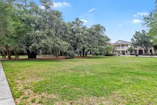 16033 Mulberrypark Cir, Lithia, FL 33547 - Photo 72
