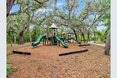 16033 Mulberrypark Circle, Lithia, FL 33547 - Photo 70