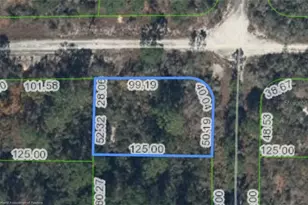 284 Rainbow Dr, Lake Placid, FL 33852 - Photo 1