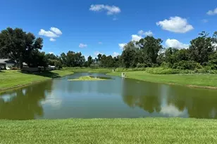 546 Lindsay Anne Ct, Plant City, FL 33563 - Photo 20