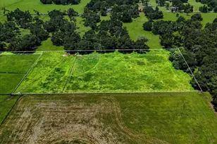 39410 Sparkman Rd, Dade City, FL 33525 - Photo 22