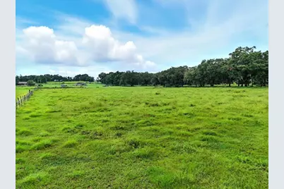 39410 Sparkman Road, Dade City, FL 33525 - Photo 8