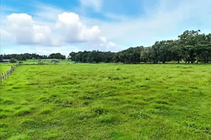 39410 Sparkman Rd, Dade City, FL 33525 - Photo 8