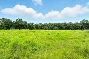 39410 Sparkman Rd, Dade City, FL 33525 - Photo 10