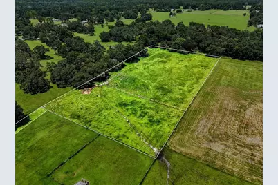 39410 Sparkman Road, Dade City, FL 33525 - Photo 24