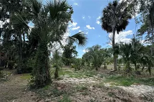 2898 Hammock Dr, Plant City, FL 33566 - Photo 34