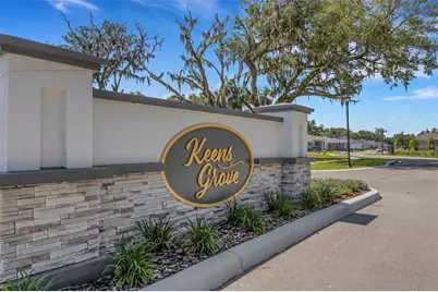 2980 Keens Grove Way, Lakeland, FL 33810 - Photo 56