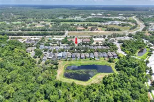 16302 Bayberry View Dr, Lithia, FL 33547 - Photo 80