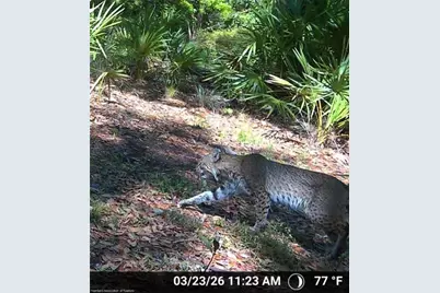 12000 Us-98, Sebring, FL 33876 - Photo 6